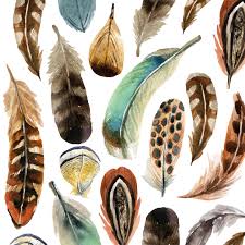 Lunch Aquarell feathers