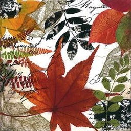 Autumn Collage 33x33 cm