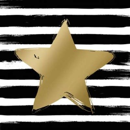 Lunch Star &amp; Stripes black gold