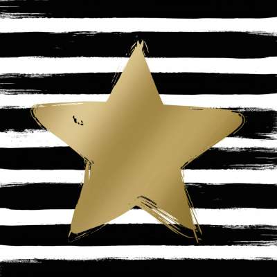 STAR AND STRIPES BLACK/GOLD lunch 33X33