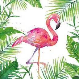Cocktail tropical flamingo